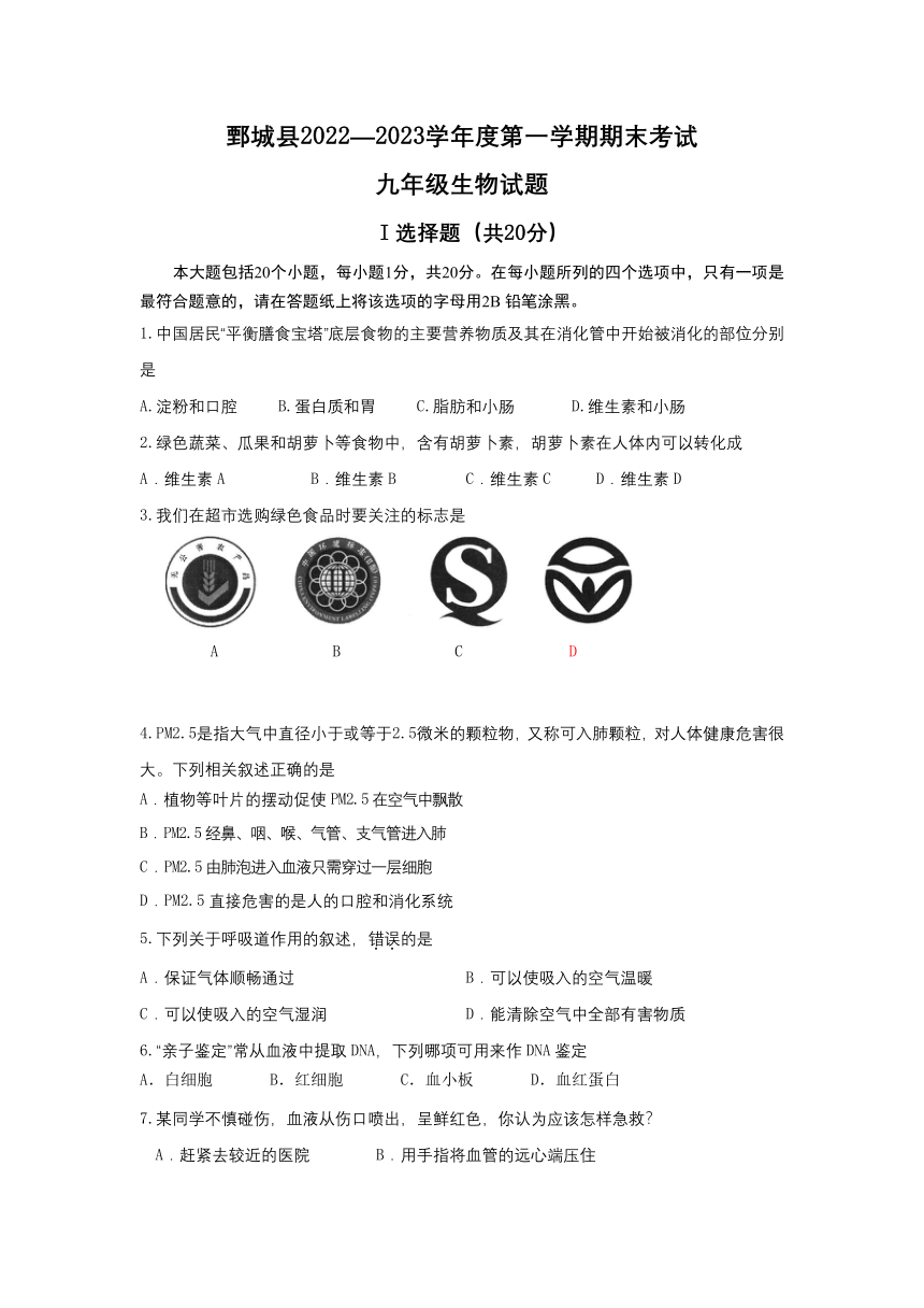 山东省菏泽市鄄城县2022-2023学年九年级上学期期末考试生物试题（含答案）