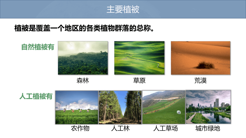 高中地理湘教版必修一（2019） 5.1 主要植被与自然环境 课件（44张）