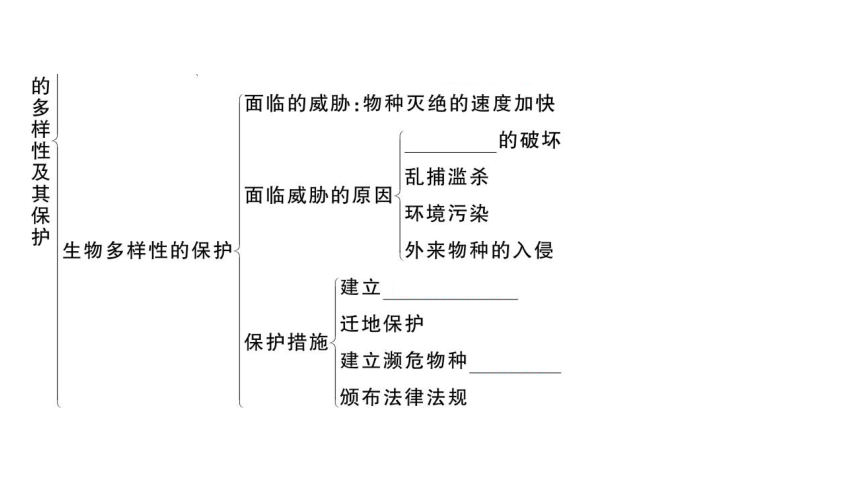 第六单元 第1~3章复习课件(共34张PPT)