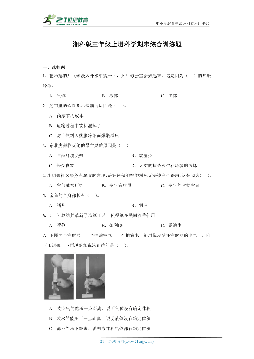 湘科版三年级上册科学期末综合训练题（含答案）