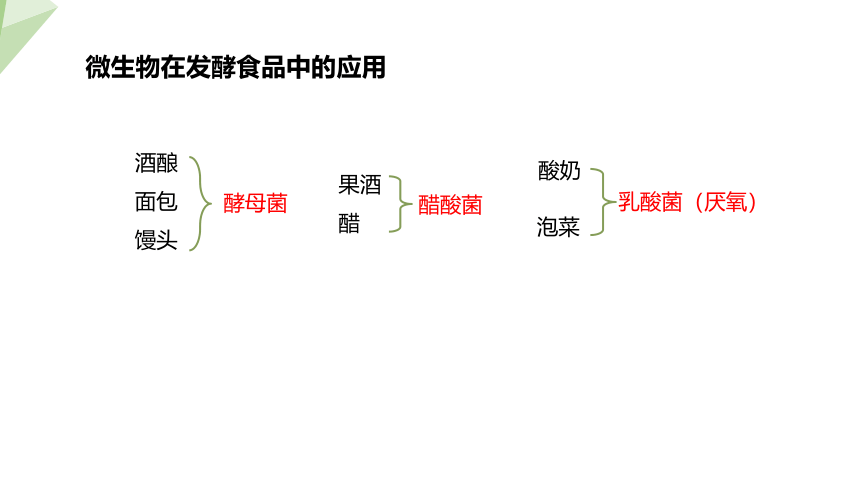 9.23.1 源远流长的发酵技术 课件（共21张PPT） 2023-2024学年初中生物苏教版八年级下册