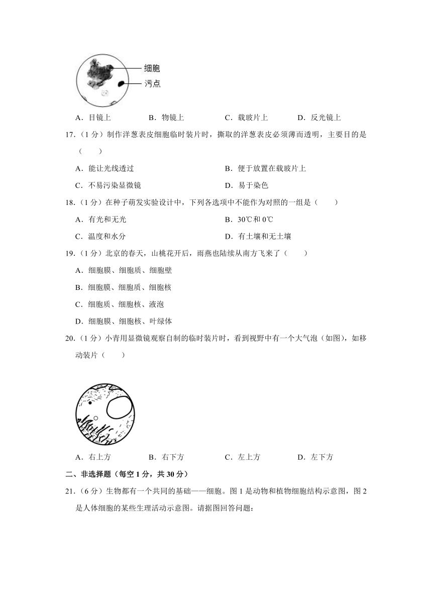 2023-2024学年江西省吉安市十校联考七年级（上）月考生物试卷（10月份）（含解析）
