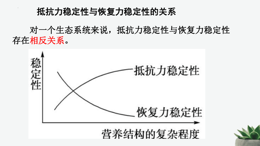 8.23.4生态系统的稳定性课件 (共25张PPT)北师大版生物八年级下册