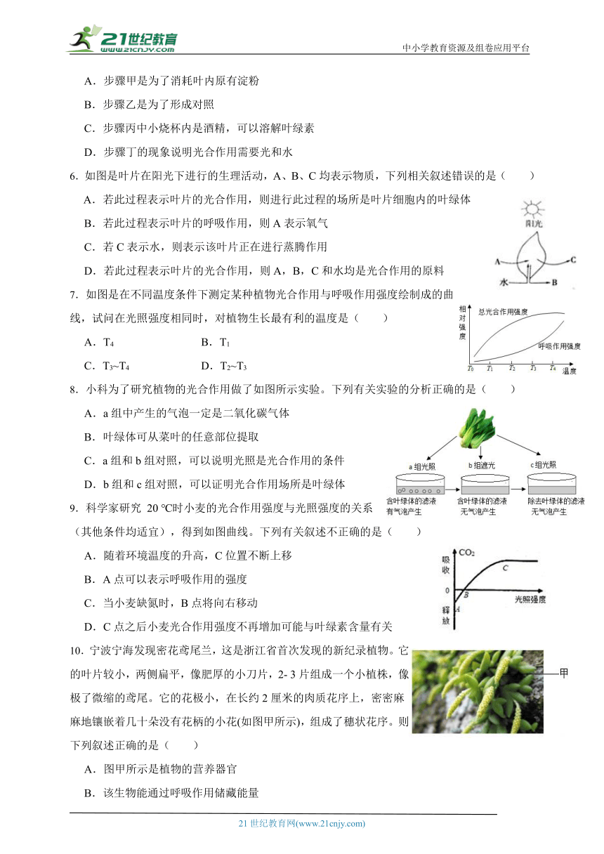 华师大版科学八上期末专题复习：植物的光合作用和呼吸作用（含答案）