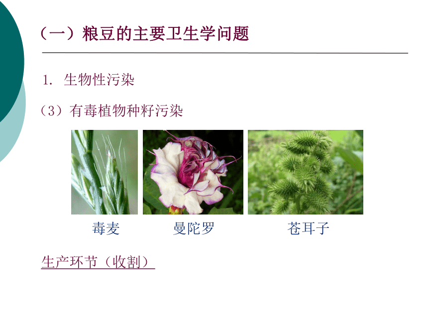 11各类食品卫生及其管理-1 课件(共32张PPT)- 《营养与食品卫生学》同步教学（人卫版·第7版）