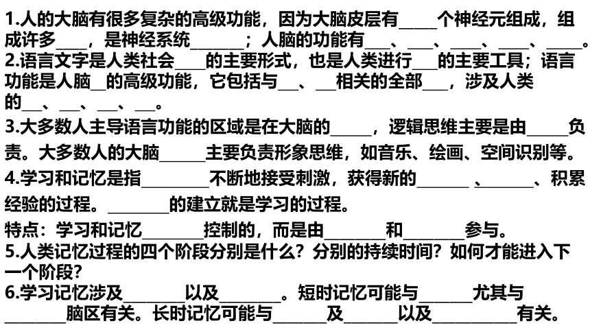 2.5人脑的高级功能课件-(共22张PPT1份视频)人教版（2019）选择性必修1