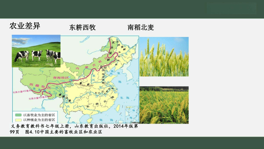 第五章 中国的地理区域 （课件23张）-七年级地理下册章节复习（鲁教版）