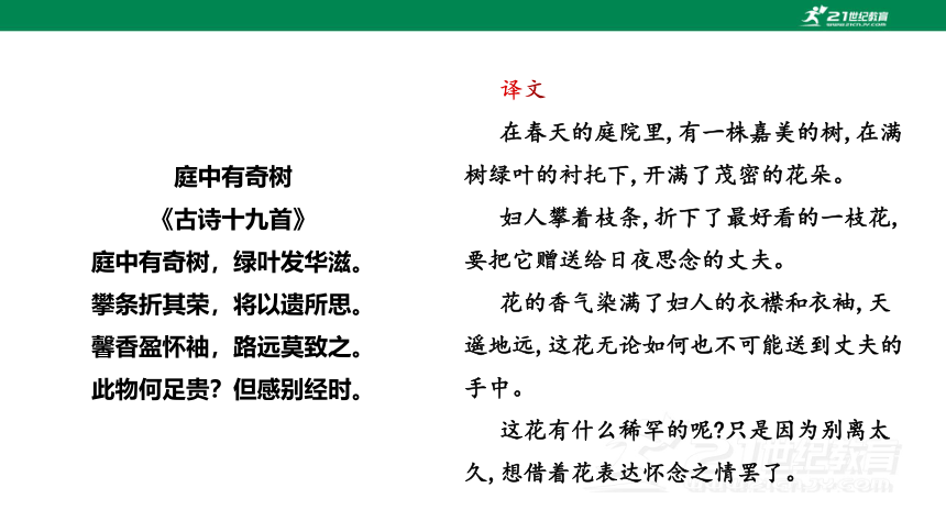 【备课先锋】第三单元 单元课外古诗词诵读 庭中有奇树 课件(共24张PPT)