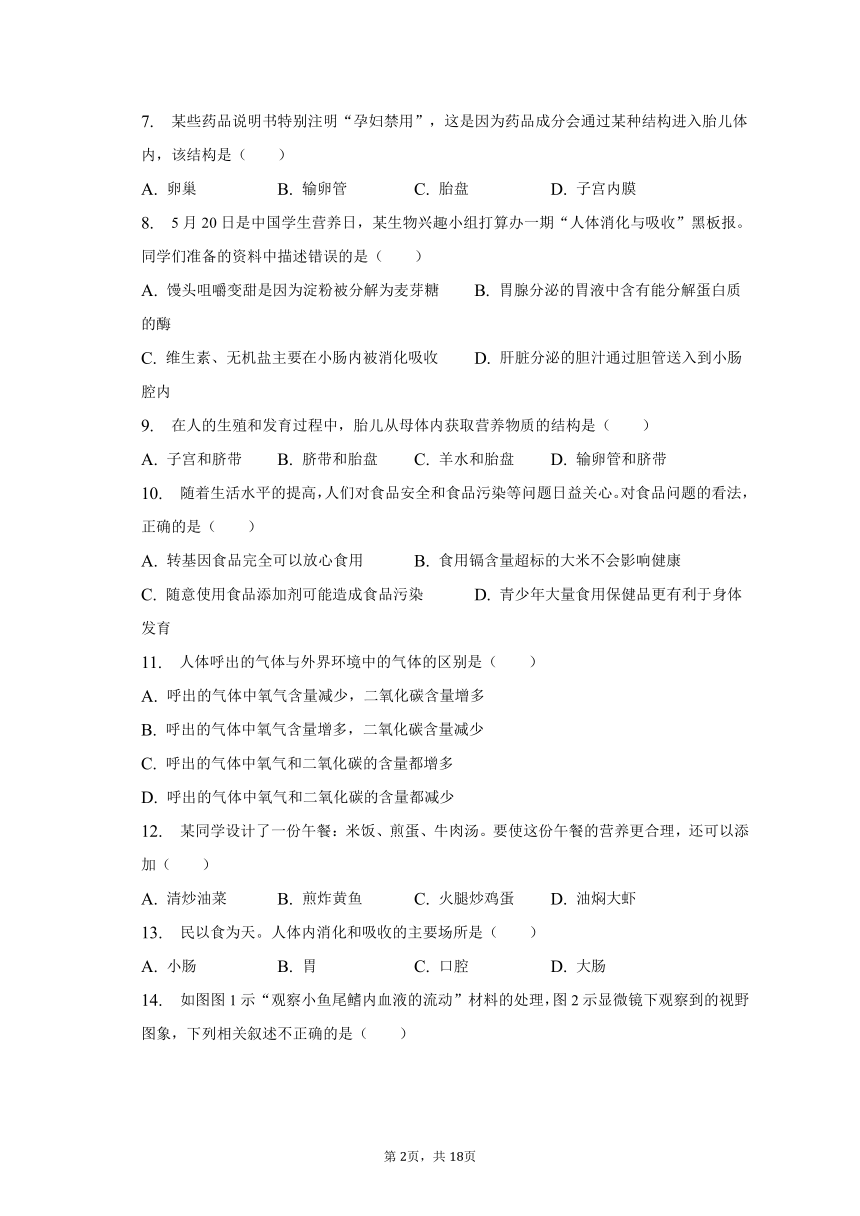 2022-2023学年河南省信阳市南湾湖风景区中学七年级（下）期中生物试卷（含解析）