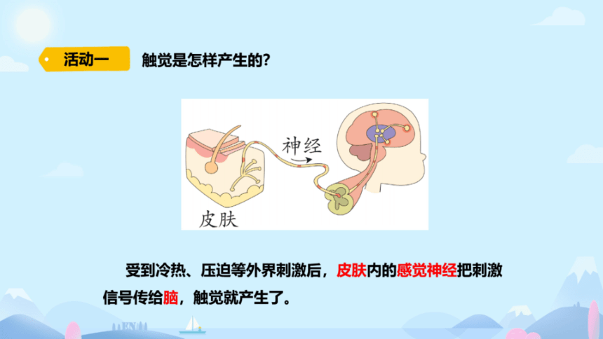 青岛版（六三制2017秋）科学六年级下册5  触觉    课件(共11张PPT)