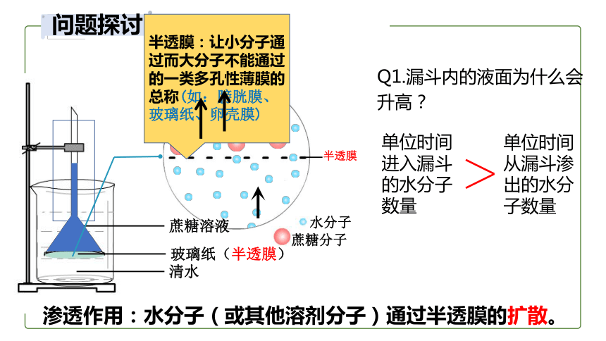 4.1 被动运输课件（共33张PPT、1份视频）人教版必修一