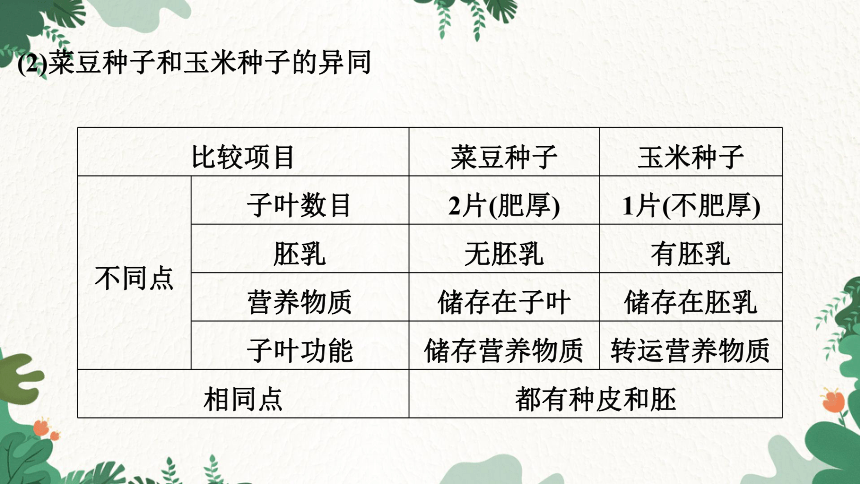 人教版生物七年级上册 第3单元 第1、2章 强化提升课件(共22张PPT)