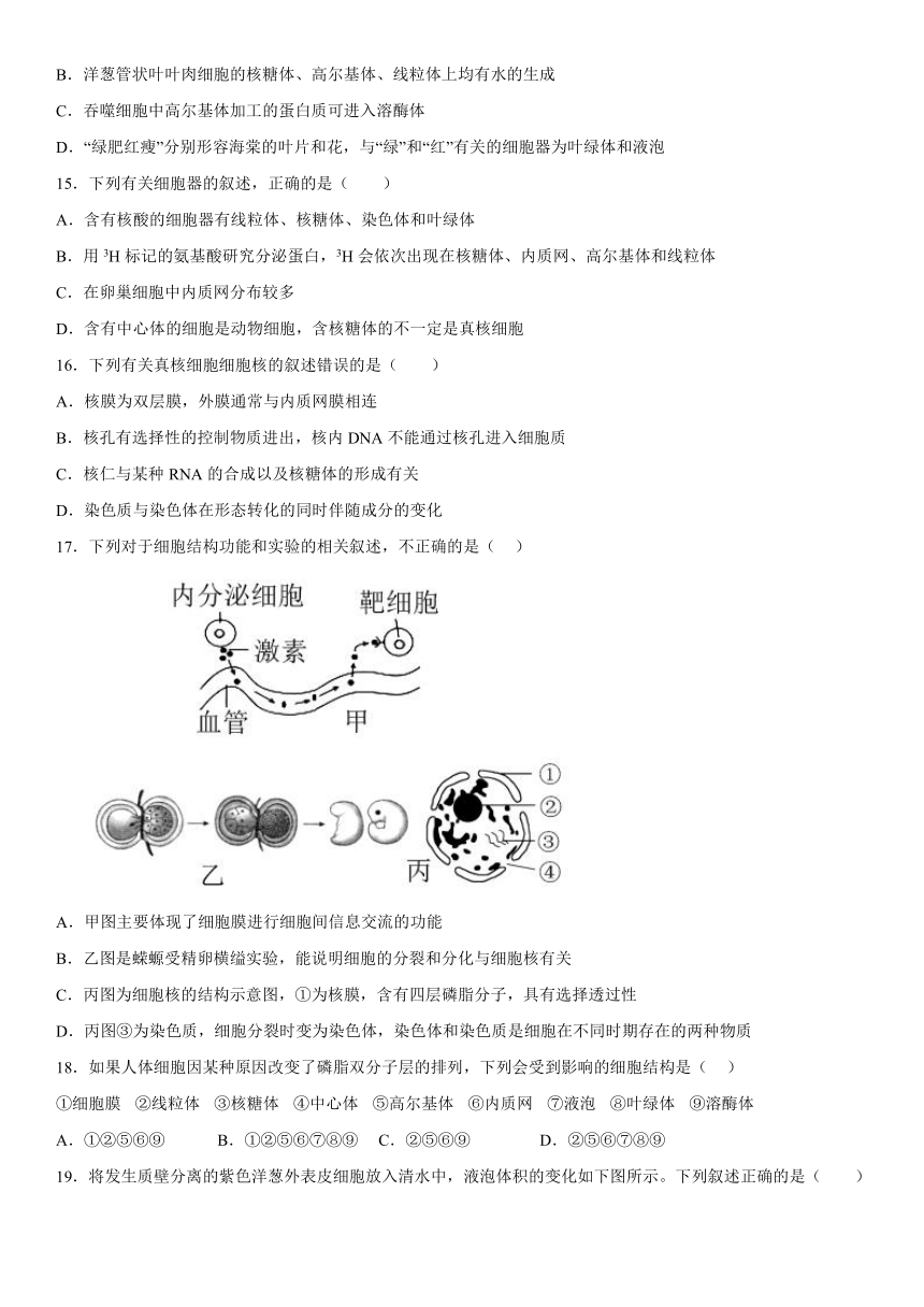 云南省大理州实验中学2021-2022学年高一上册12月月考生物试题（含解析）