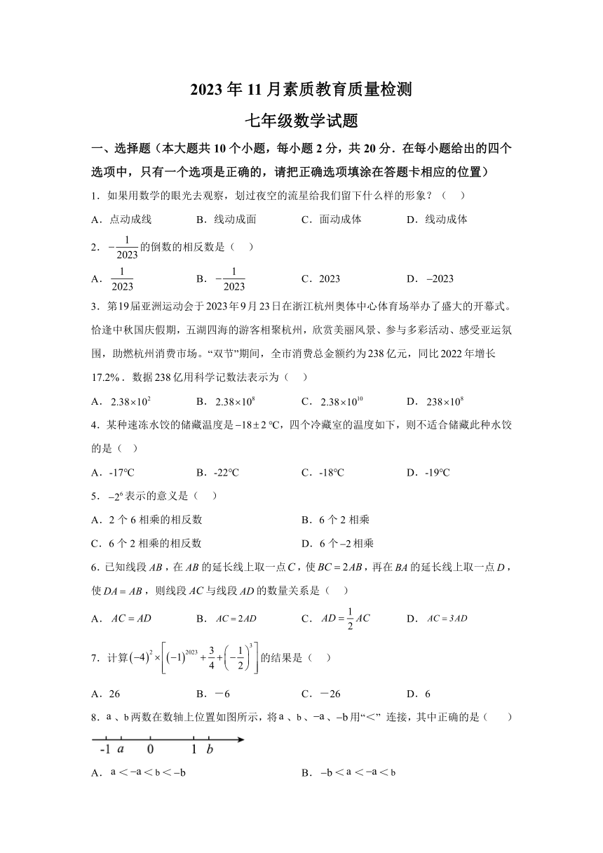 山东省菏泽市曹县2023-2024学年七年级上学期期中数学试题（含解析）