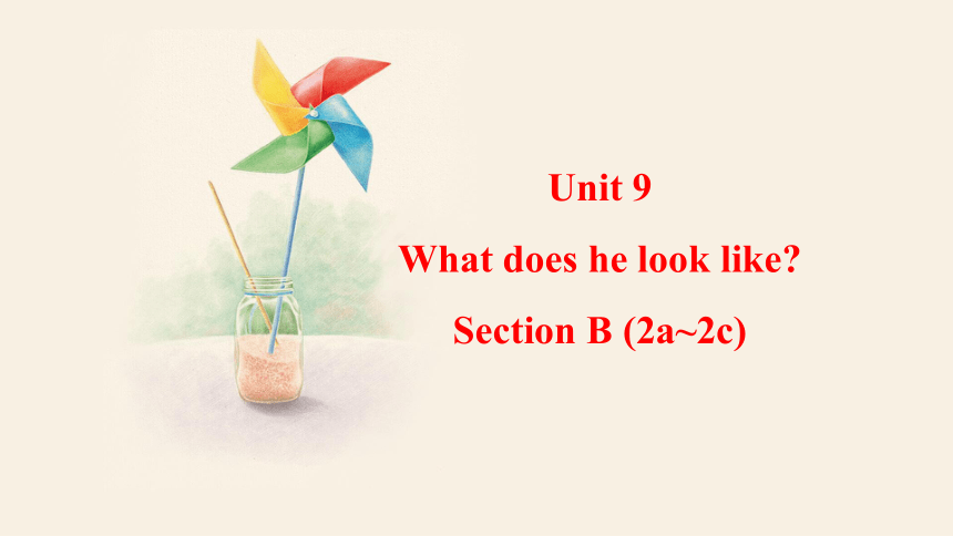 Unit 9What does he look like Section B (2a~2c) 课件（共21张PPT,内嵌音频） 2023-2024学年人教版英语七年级下册