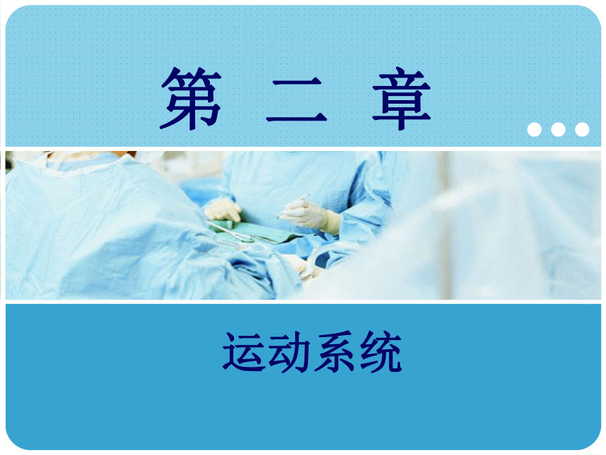 2.3 肌学 课件(共57张PPT)-《解剖学基础》同步教学（江苏大学出版社）