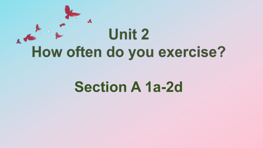 人教新目标Go For It!  八年级上册  Unit 2 How often do you exercise？Section A 1a-2d（共49张PPT）