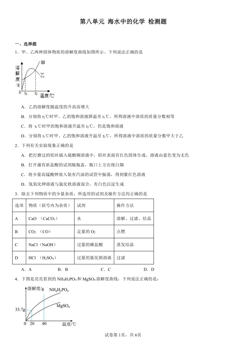 第八单元海水中的化学检测题(含解析) 2023-2024学年九年级化学鲁教版下册