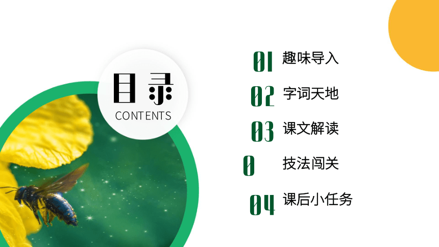 1《草原》课件(共21张PPT)