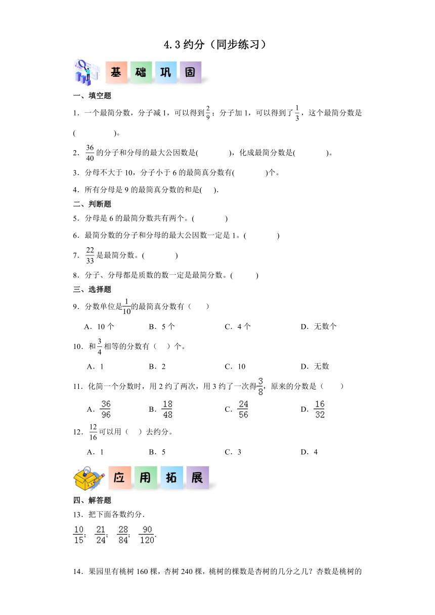 五年级数学下册（北京版）4.3约分（同步练习）（含解析）
