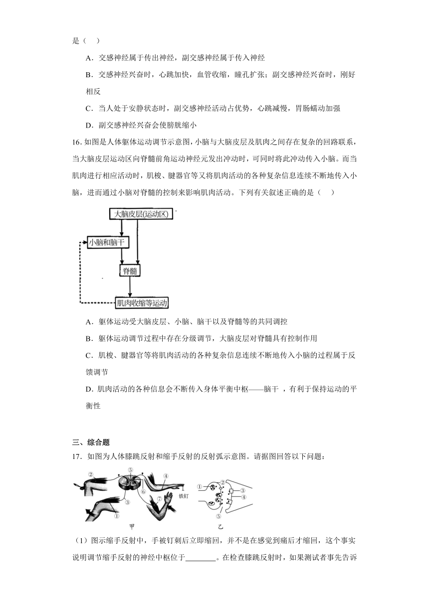 2.4脑和脊髓对反射活动的协同调节同步课时训练（有答案）-2022-2023学年高二上学期生物北师大版（2019）选择性必修一