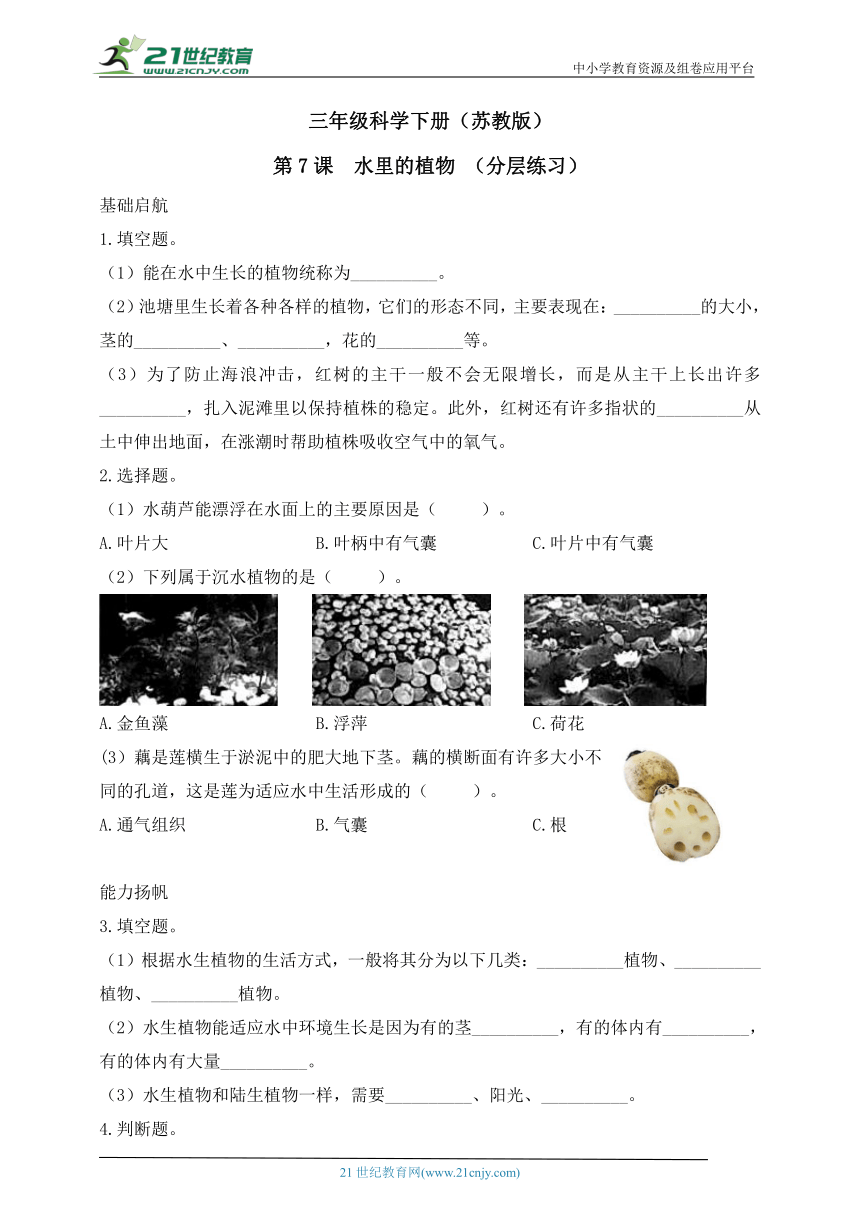 三年级科学下册（苏教版）【分层作业】2.7 水里的植物（含答案）