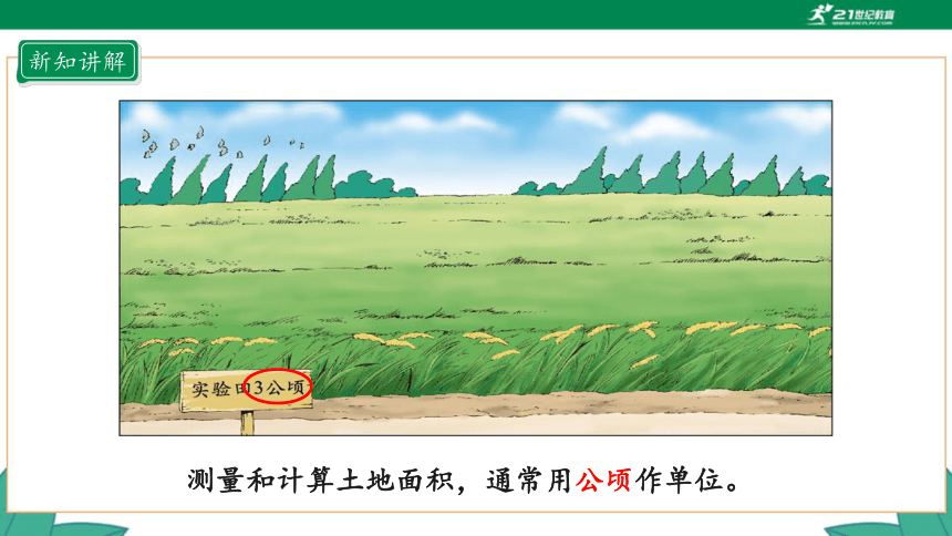 新人教版4年级上册 2.1 公顷的认识课件（29张PPT）
