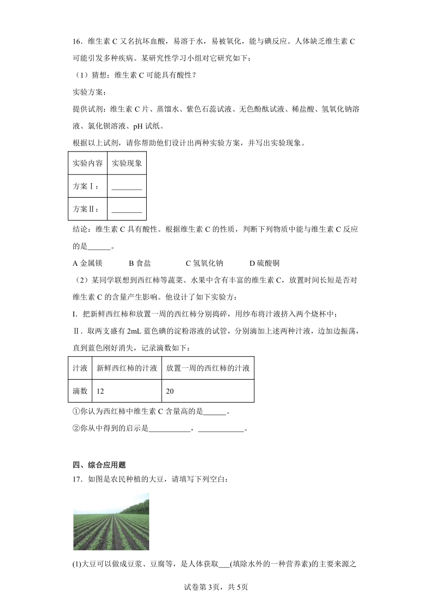 8.3蛋白质维生素同步练习 （含解析）沪教版（全国）初中化学九年级下册