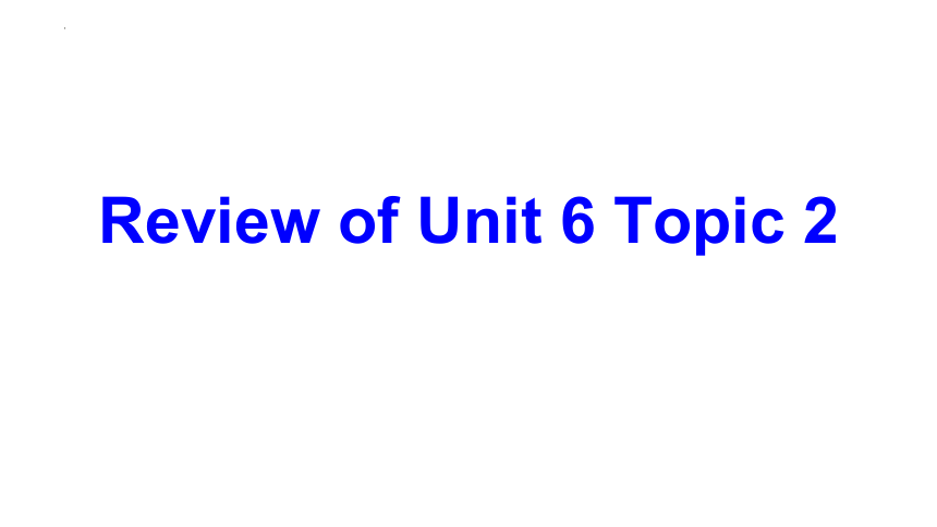 Unit 6 Topic 2 复习课件(共21张PPT) -2023-2024学年仁爱版英语七年级下册