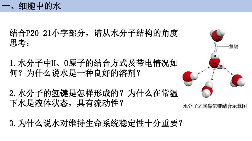 2.2 细胞中的无机物课件(共33张PPT1份视频)-高一生物课件（人教版2019必修1）