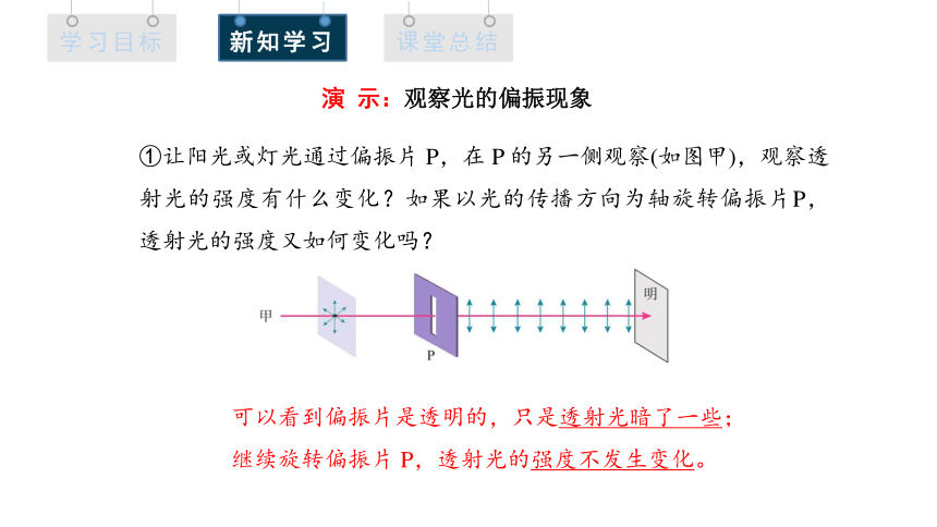 4.6 光的偏振 激光 课件 (共22张PPT) 高二物理人教版（2019）选择性必修1