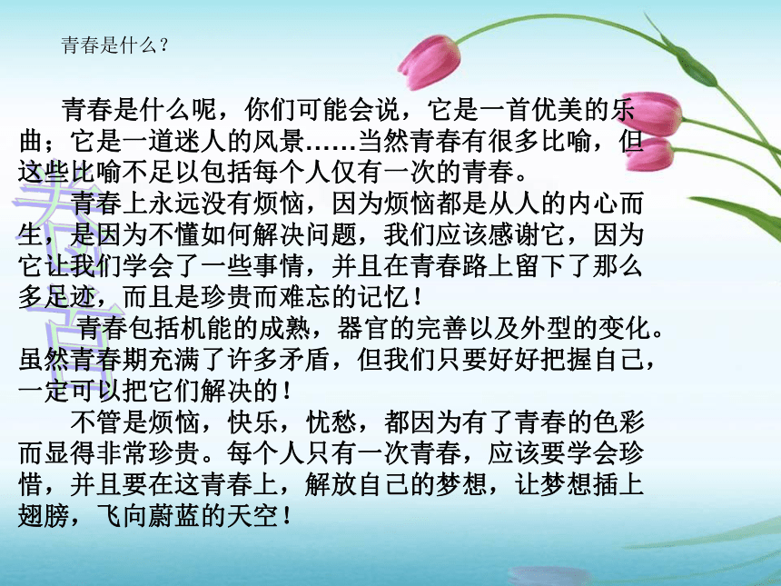 第十课 异性交往有尺度 课件(共30张PPT)2023-2024学年北大版心理健康九年级全一册