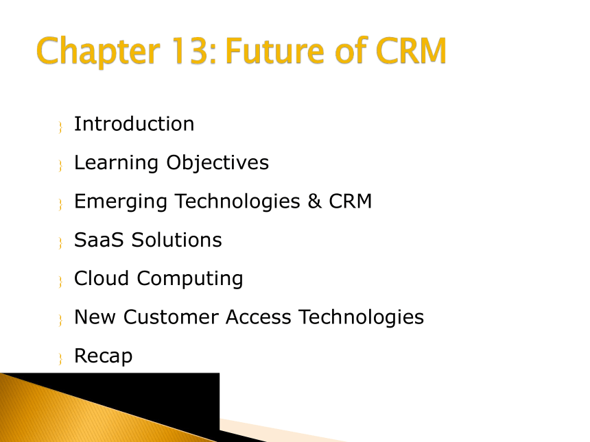 13Future of CRM 课件(共20张PPT)- 《客户关系管理（英文版）》同步教学（人民大学版）