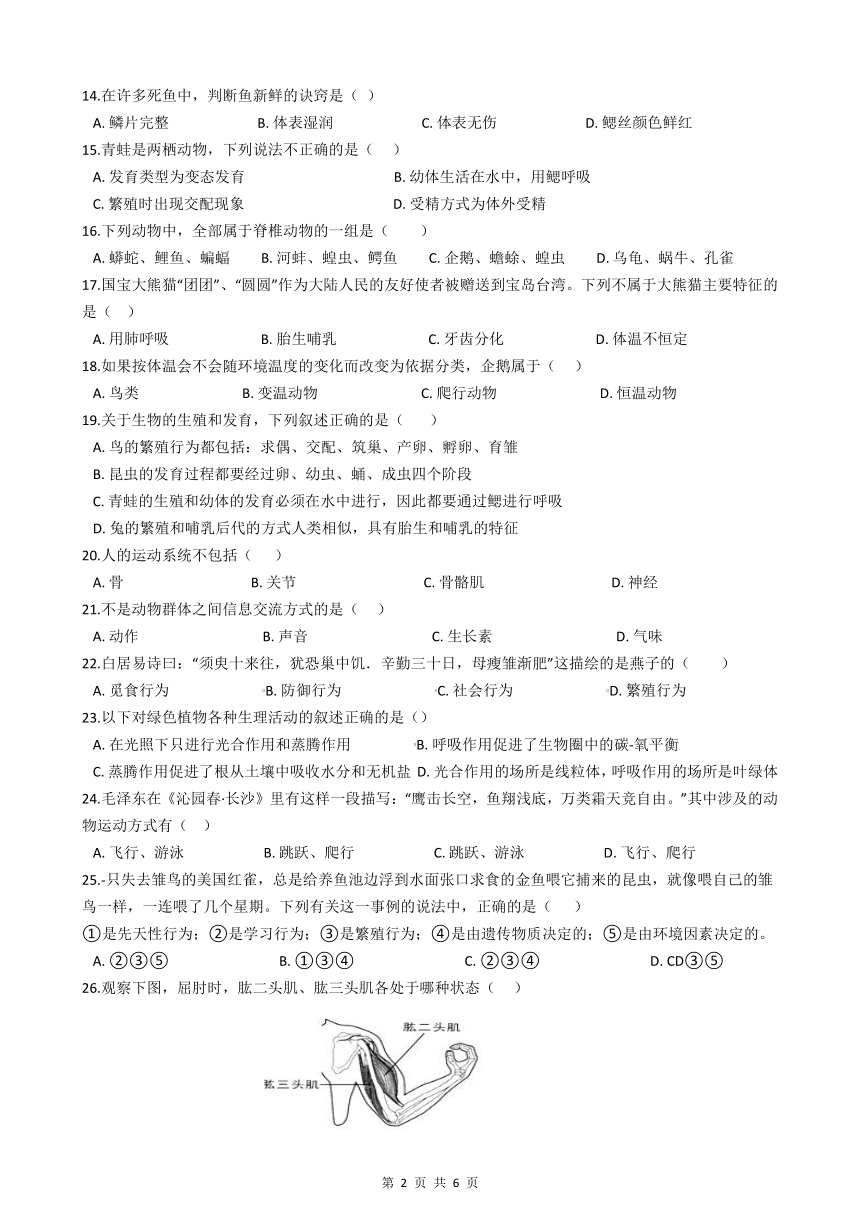 人教版八年级生物上学期期中模拟试题（附答案）