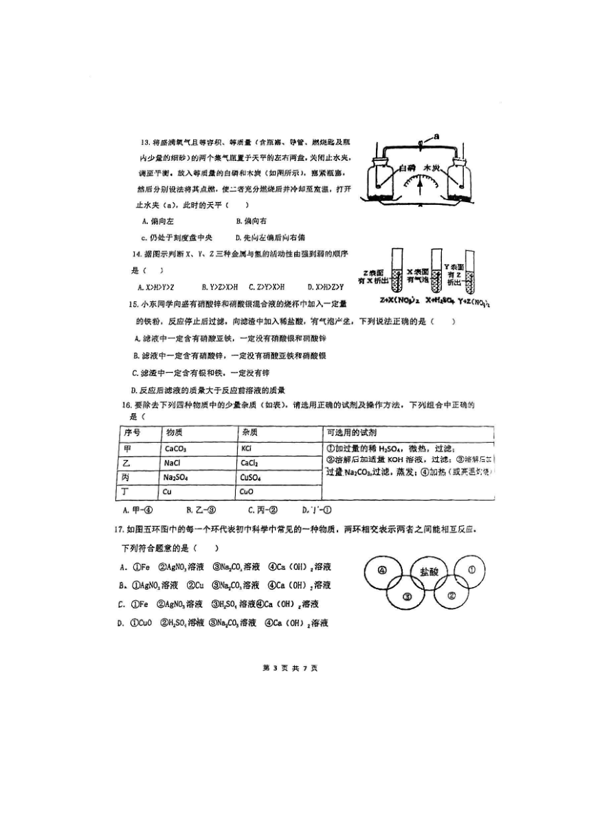 浙江省宁波市慈溪市慈吉实验学校2023-2024学年上学期第一次教学调研九年级科学试卷（pdf版，无答案）