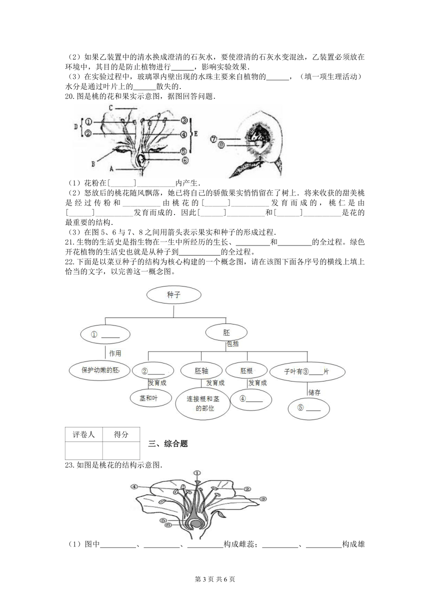 人教版七年级上册生物第三单元测试题（含答案）