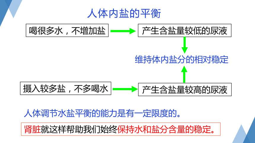 4.5 体内物质的动态平衡（第2课时 课件 共26张PPT）