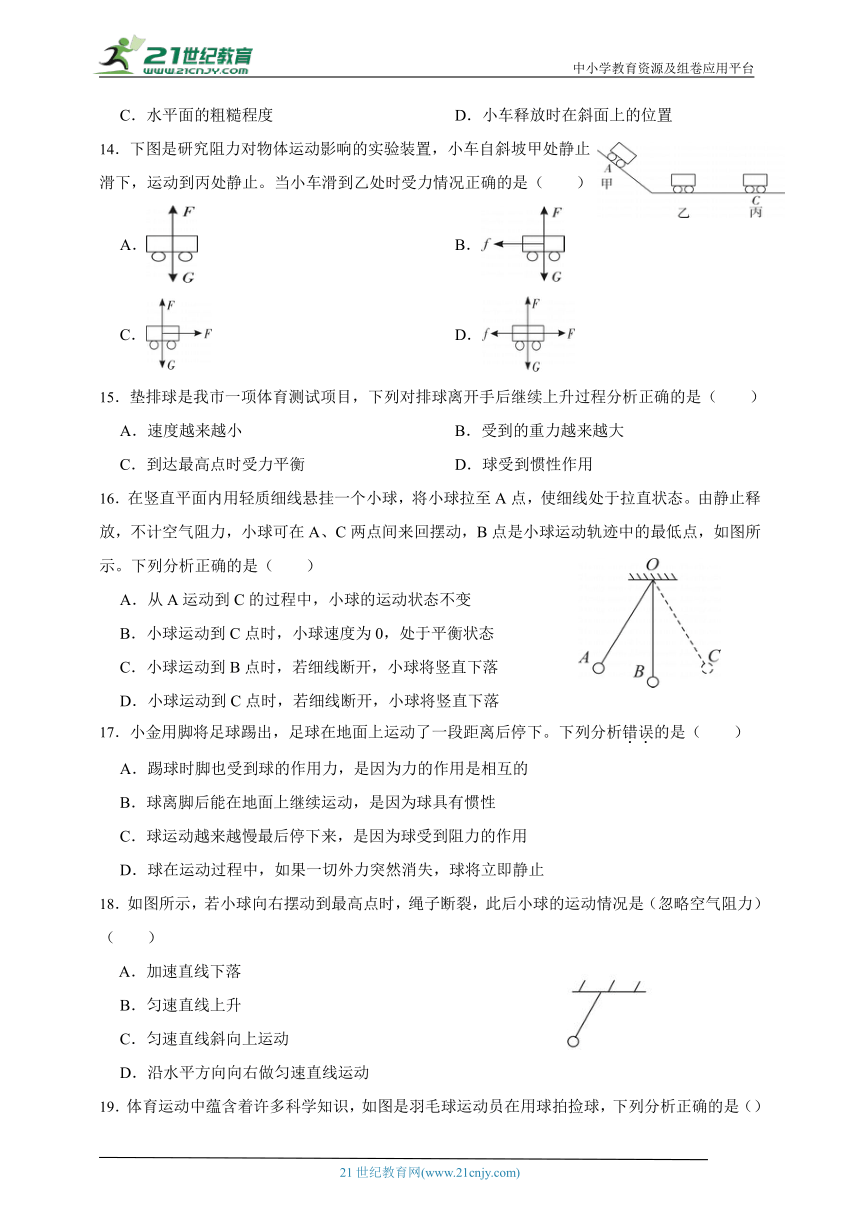 华师大版科学八上期末专题复习： 运动和力（含答案）