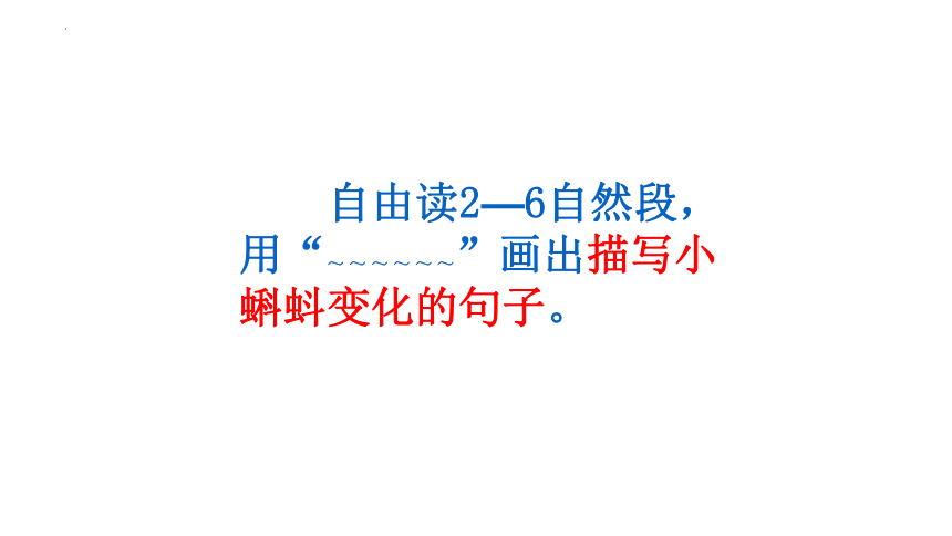 1 小蝌蚪找妈妈 课件(共14张PPT)