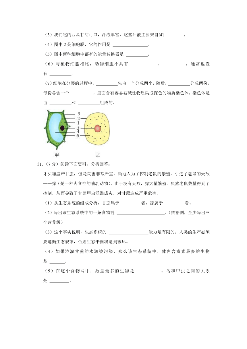 2023-2024学年黑龙江省齐齐哈尔市龙江县七年级（上）期中生物试卷（含解析）