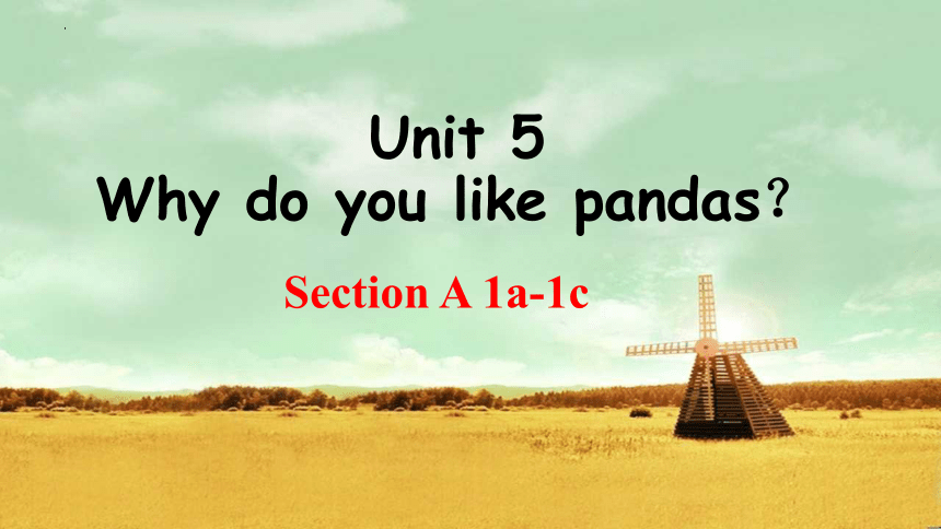 Unit 5  Why do you like pandas?Section A 1a-1c 课件 2023-2024学年人教版七年级英语下册（共31张PPT）