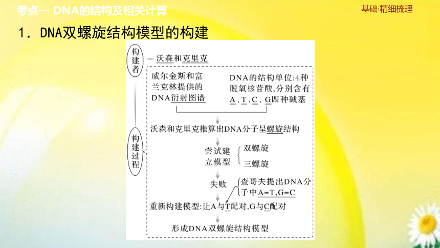 高三生物总复习课件-必修2 遗传与进化：第23讲　DNA的结构、复制及基因的本质(共33张PPT)