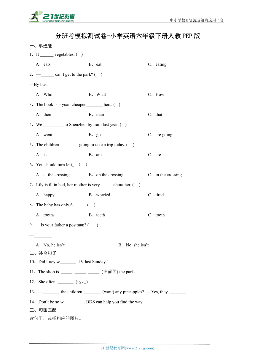 分班考模拟测试卷-小学英语六年级下册人教PEP版（含答案）