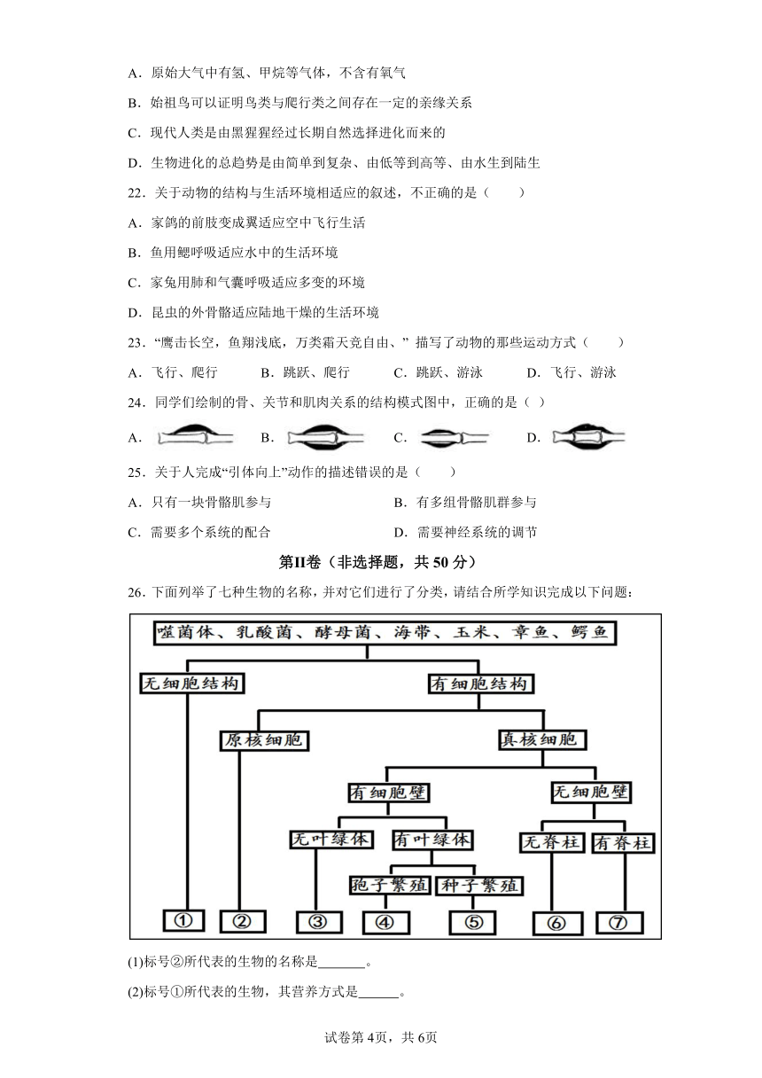 湖南省永州市冷水滩区2023-2024学年八年级上学期期中考试生物试题（含解析）