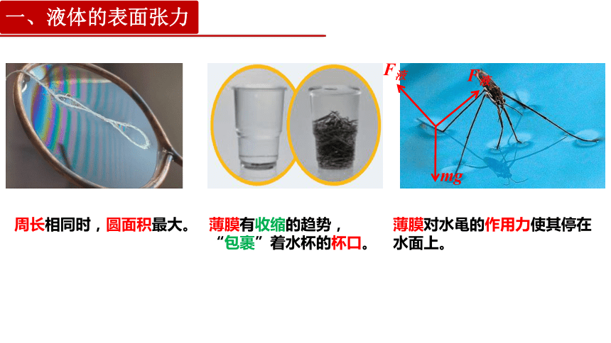 2.5 液体 课件 (共31张PPT)