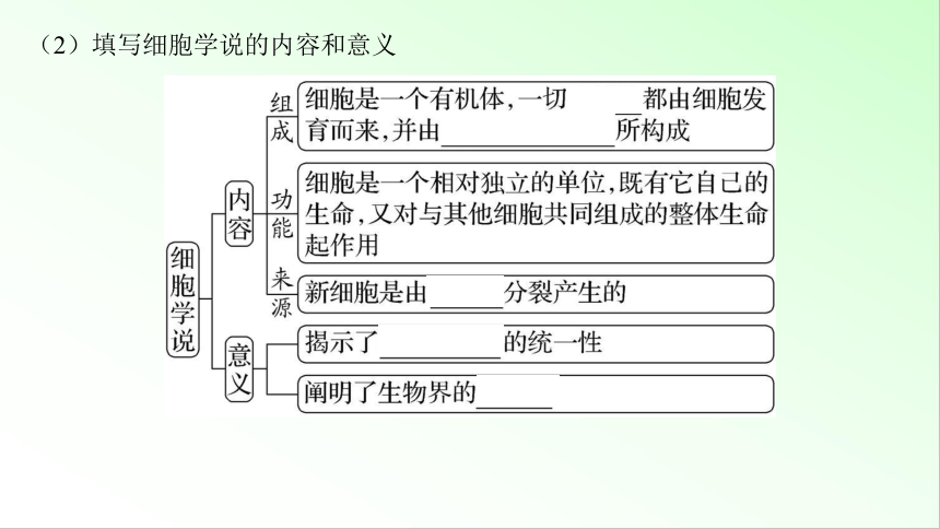 新教材生物一轮复习课件：第1单元 细胞的概述及其分子组成 第1讲　走近细胞(共74张PPT)