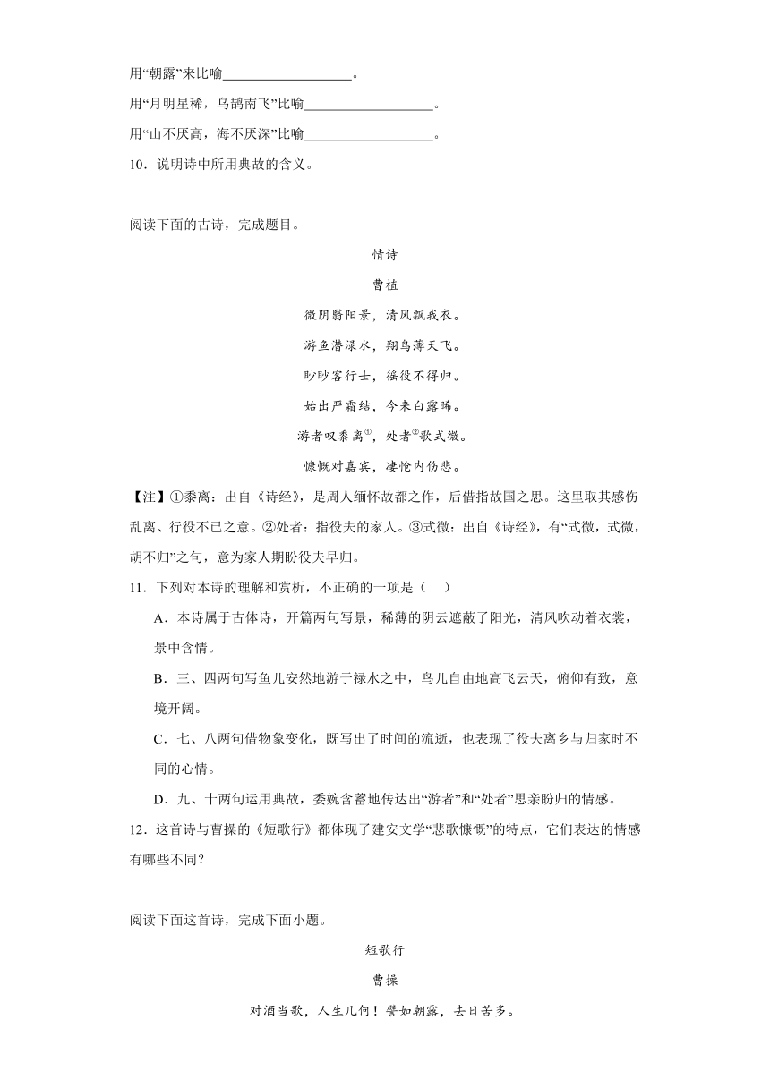 6.2《插秧歌》同步练习（含答案）2023-2024学年统编版高中语文必修上册