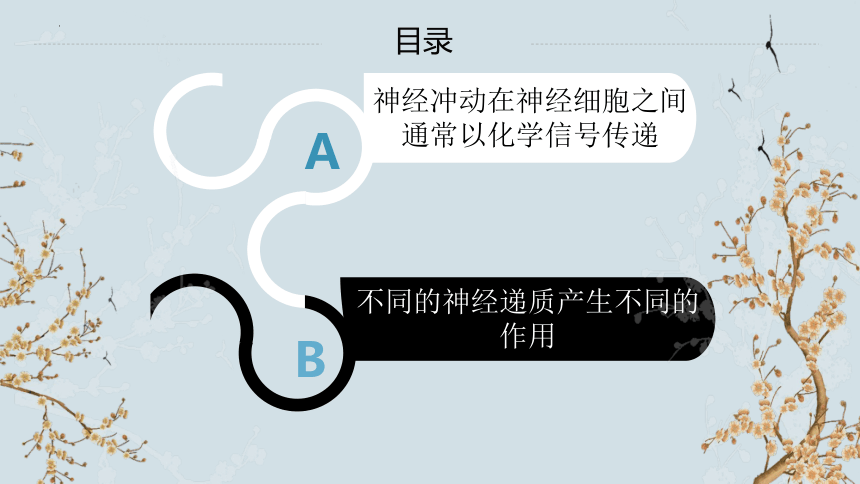 1.1 神经调节（第3课时）(共17张PPT)-2023-2024学年高二生物上册(苏教版2019选择性必修1)