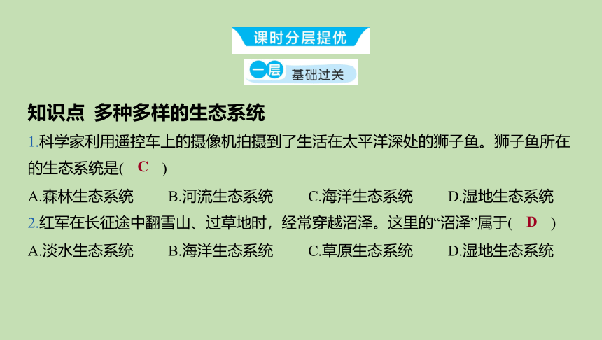 1.2.4 多种多样的生态系统习题课件(共19张PPT)2023-2024学年六年级生物课件鲁科版（五四学制）