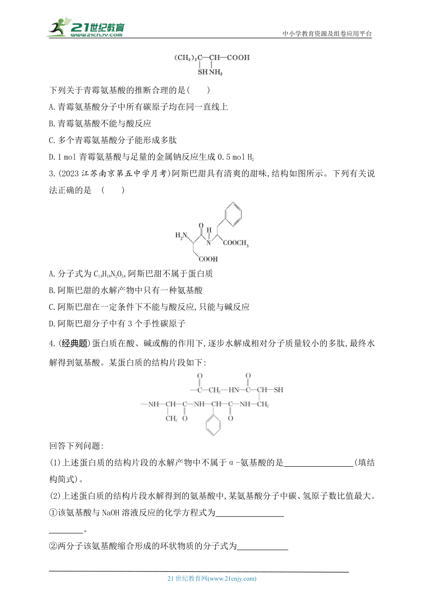 2024人教版高中化学选择性必修3同步练习题--第二节　蛋白质(共20张PPT)